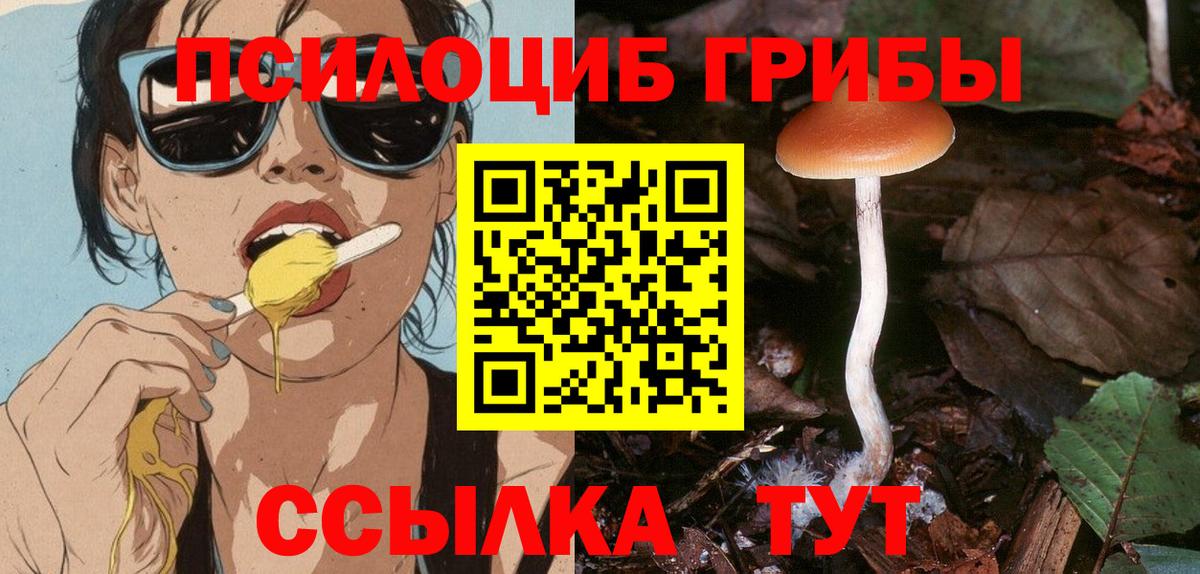 как найти   Галлюциногенные грибы Cubensis  Галлюциногенные грибы ЛСД  Вход с VPN  Рыбинск 