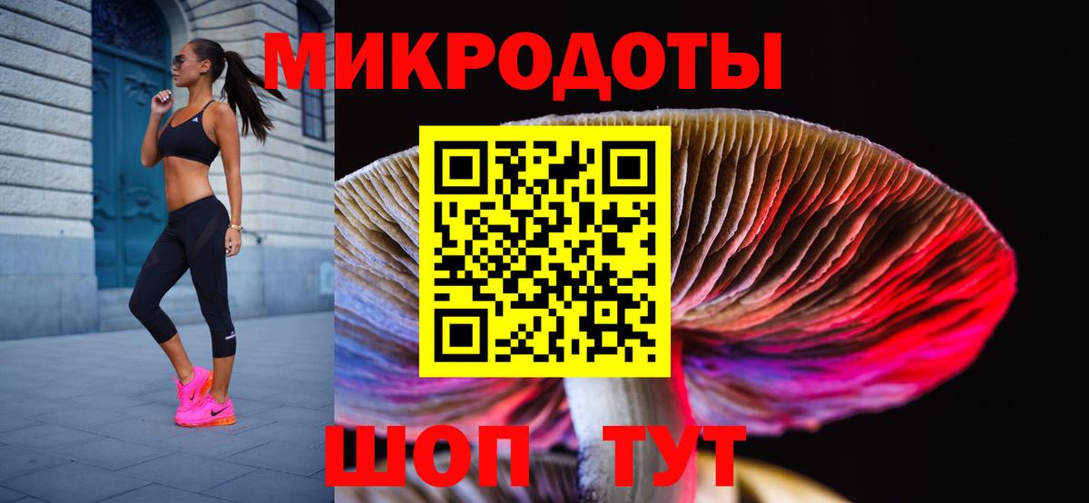 Галлюциногенные грибы Psilocybe Рыбинск